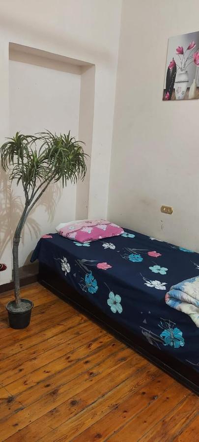 New Safari Hostel Кайро Екстериор снимка