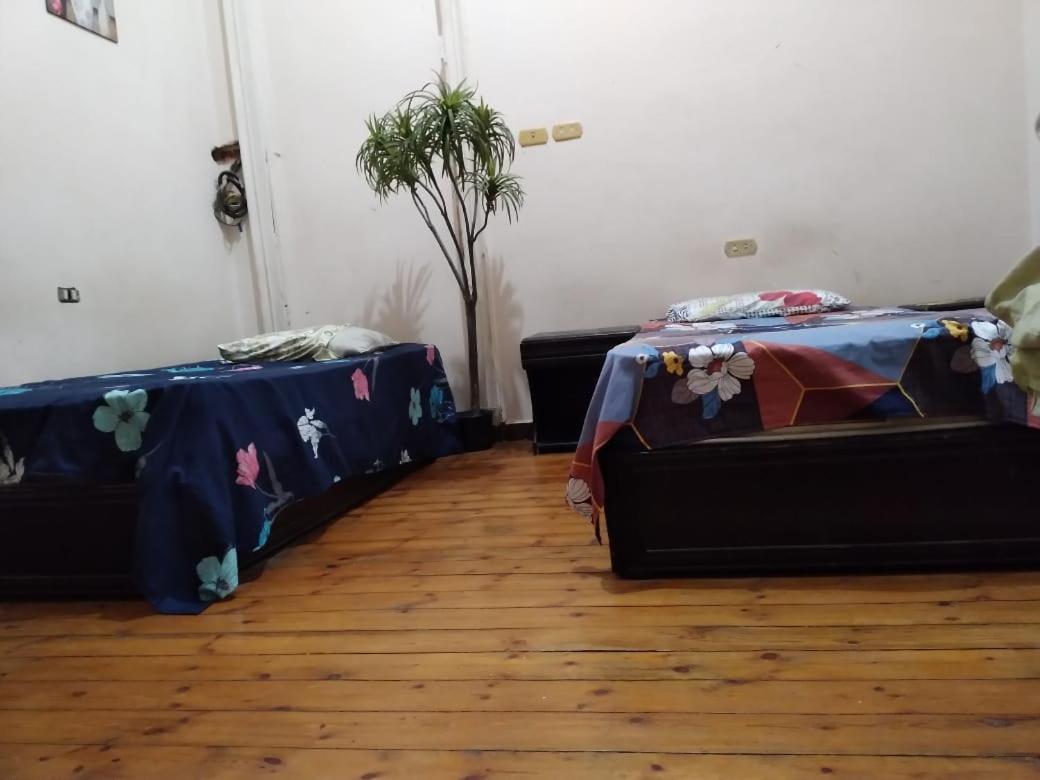 New Safari Hostel Кайро Екстериор снимка